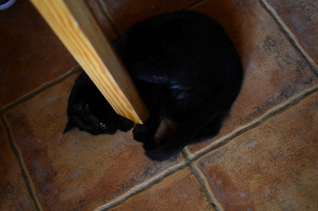 Naleśniki gryczane z rukolą, pomidorami, fetą i oliwkami :)