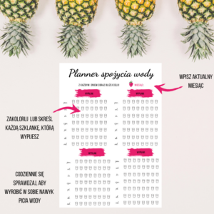 planner spożycia wody