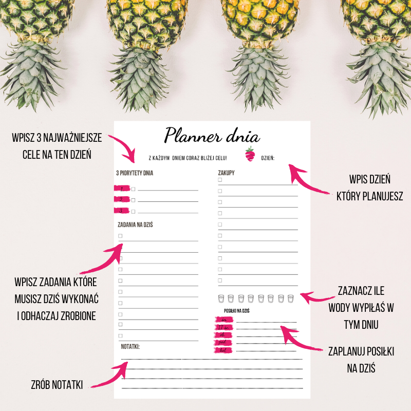 planner dnia