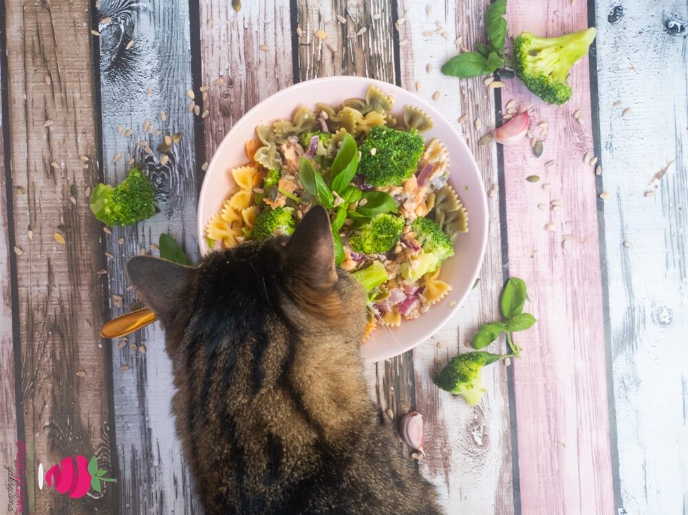 fit-makaron-z-łososiem-w-15-minut-w-sosie-śmietanowym-dieta-dietetyk-tychy-katowice